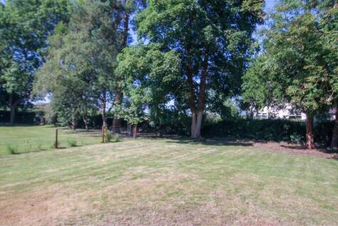 Plot photo a.jpg