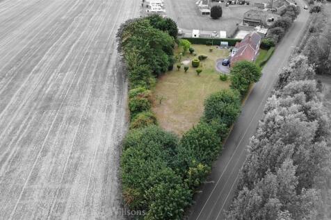 DJI_0323-1.jpg