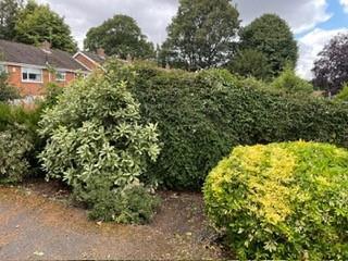 Corner Plot Gardens