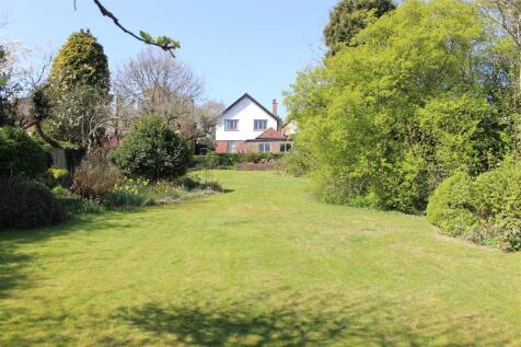 The Property