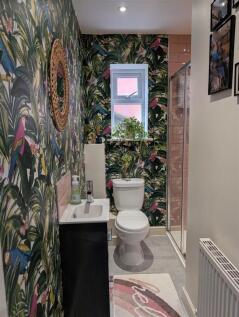 Shower Room/Cloaks/WC