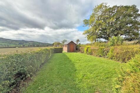 IMG-20251010-WA0062 copy.jpg