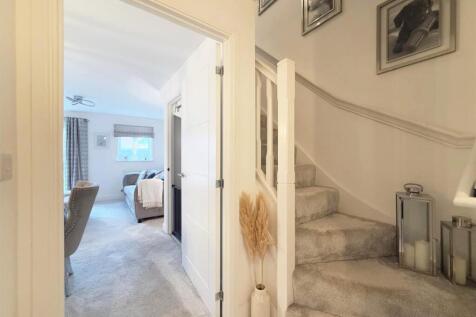 IMG-20251010-WA0041 copy.jpg