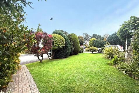 thumbnail_image0 (2).jpg