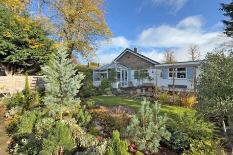 IMG-20251024-WA0027 copy.jpg