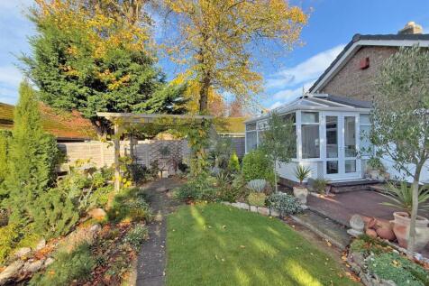 IMG-20251024-WA0022 copy.jpg