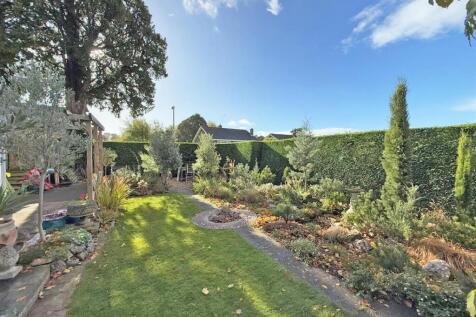 IMG-20251024-WA0025 copy.jpg