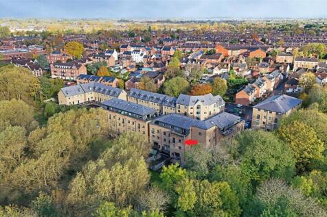 DJI_20251101094215_0799_D a.jpg