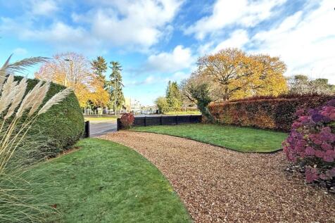 thumbnail_image1 (1).jpg