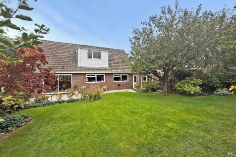 thumbnail_image5 (1).jpg