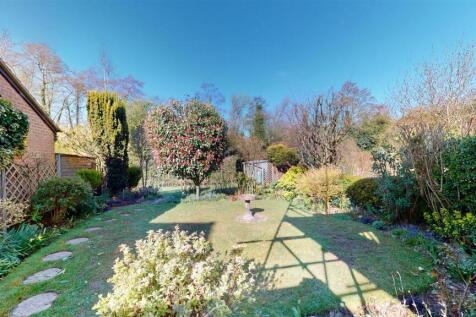 Sunnybank Road 35 Garden.jpg