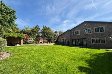 Property Image 42