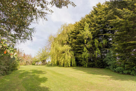Side Lawn