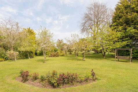 Side Lawn