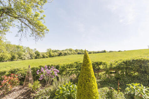 Countryside Views