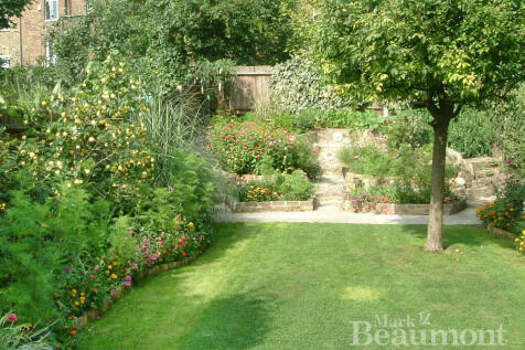 garden 1