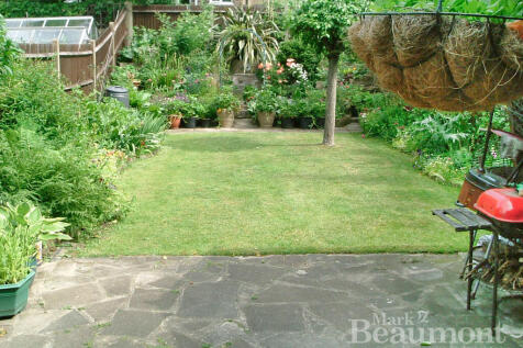 Back Garden as it...