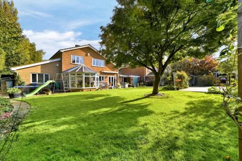 Property Image 12
