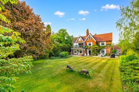 Property Image 14