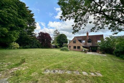 Property Image 42