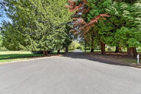 Driveway/Parking