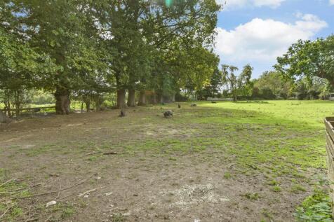 Surrounding Area