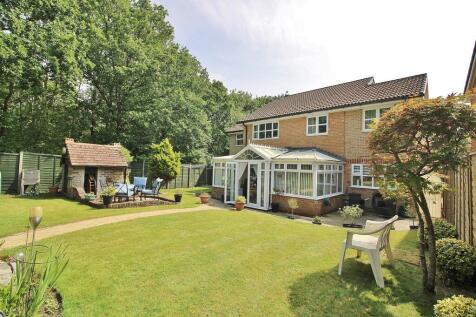 Property Image 17