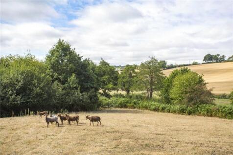 Paddock and View