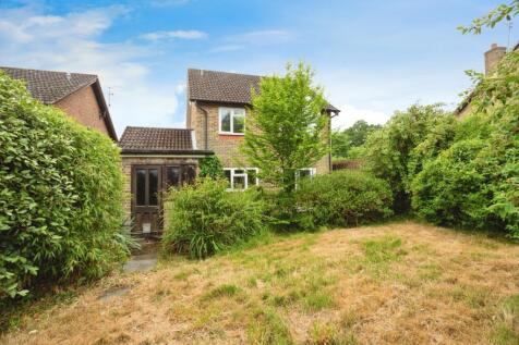 Garden &amp; Rear