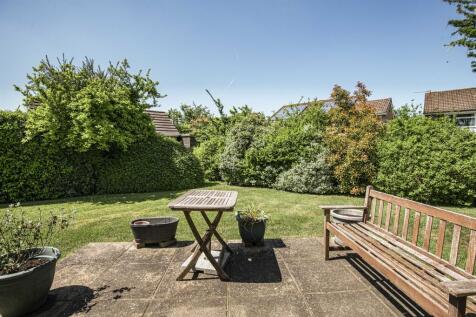 Patio Area