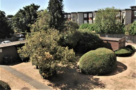 Communal Garden