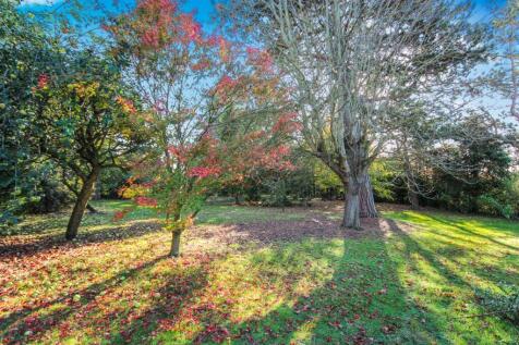 End of Garden.jpg