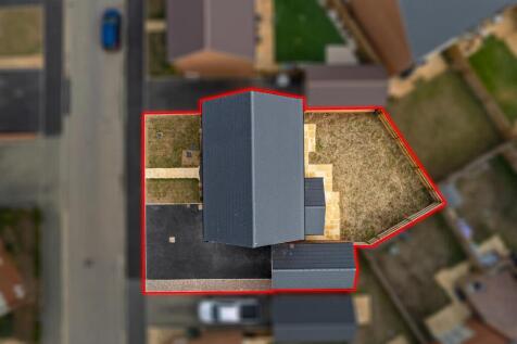 Plot39-PineWeb08.jpg
