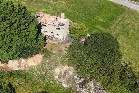 DJI_20250810141036_0141_D.JPG