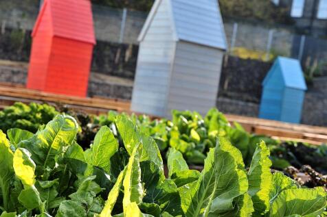 Allotments