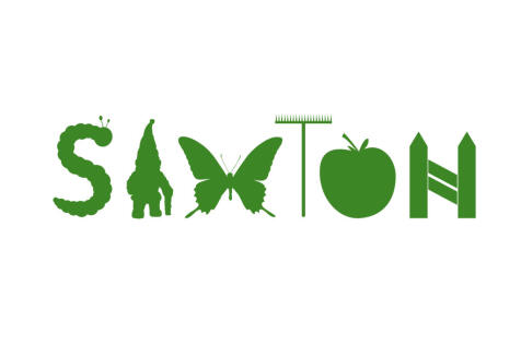 Grow your own veg