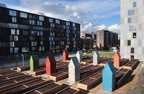 Allotments