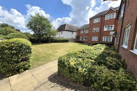 Rear Gardens