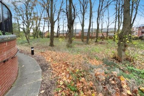 Woodland Area