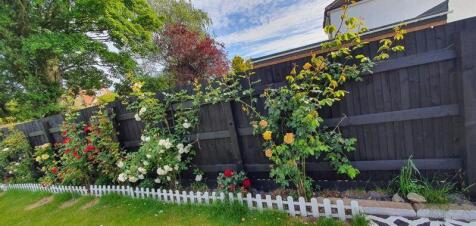 Photo 30