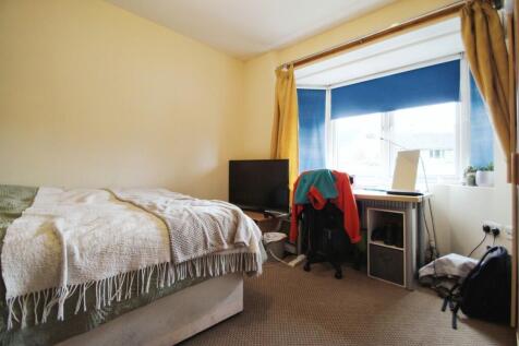 38324789-IMG_552_...