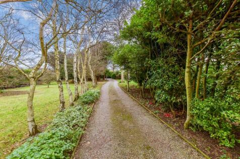 Driveway/Parking