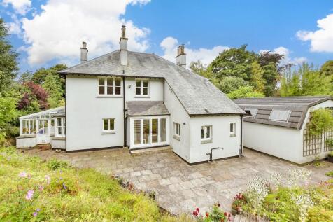 Rear Elevation