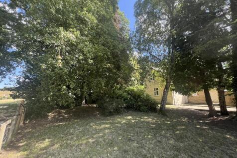 Garden.jpeg