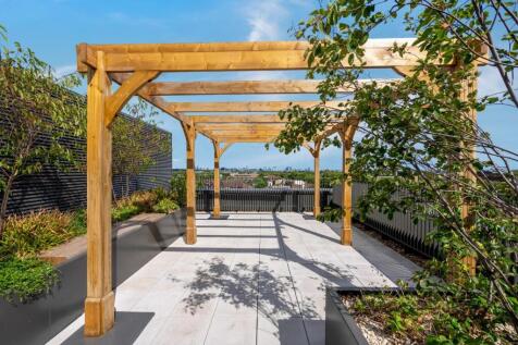 Roof Garden