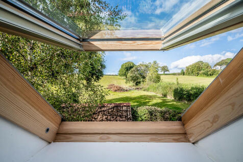 Lower Orchard - W...