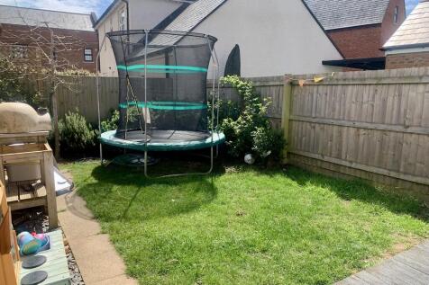 Sunny garden 