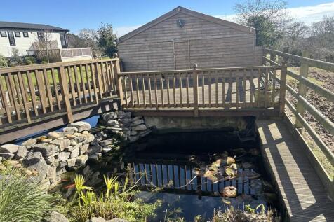 Rear Pond
