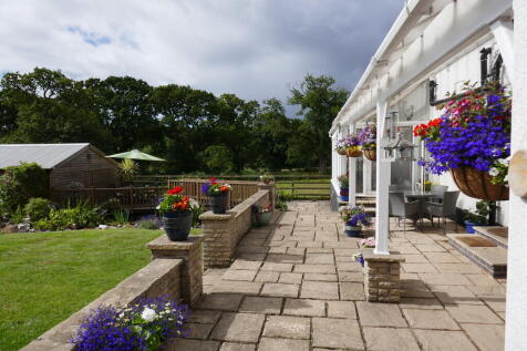Garden in summer