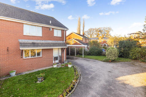 A02 - 2 The Paddo...